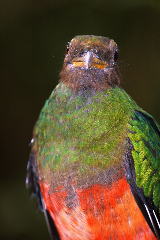 oasi di sant'alessio