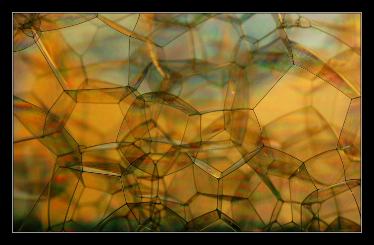 Giocando con le bolle 1