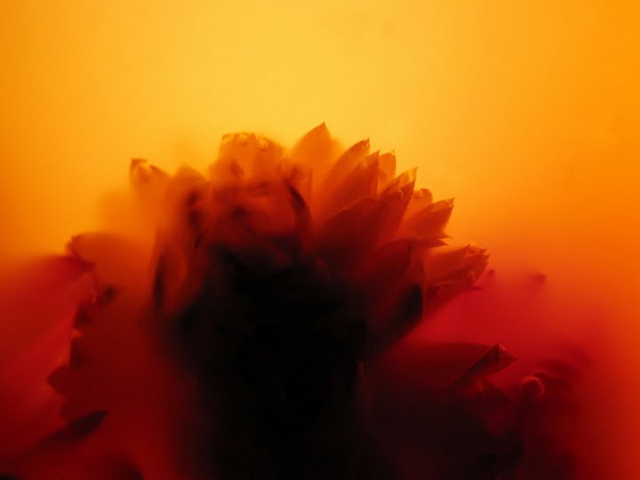 a lume di candela...