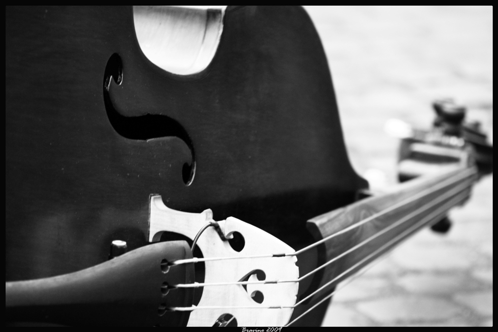 ...Double-Bass...