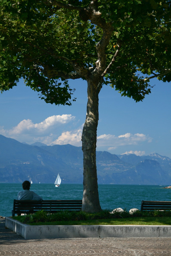 composizione plastica