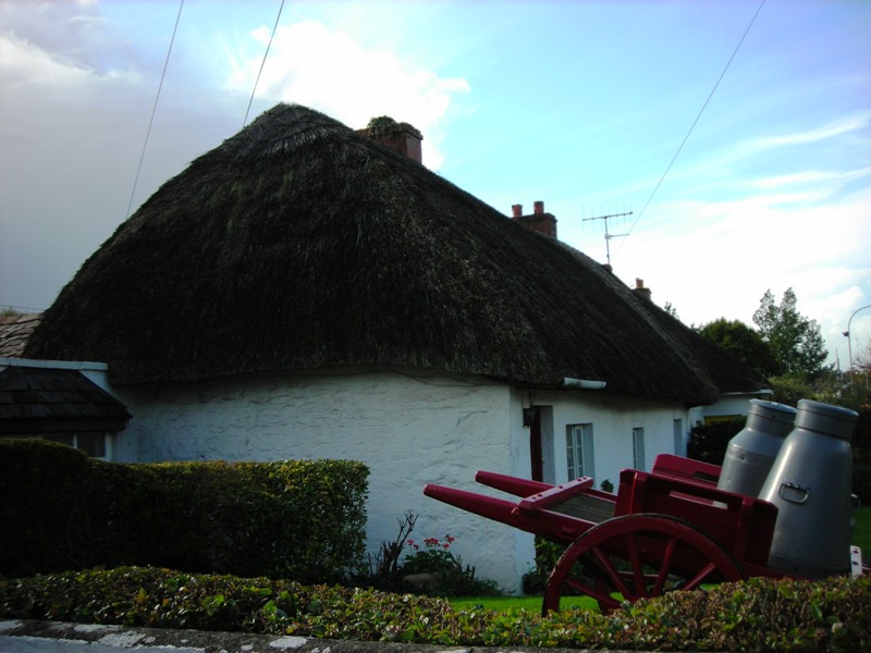 Adare
