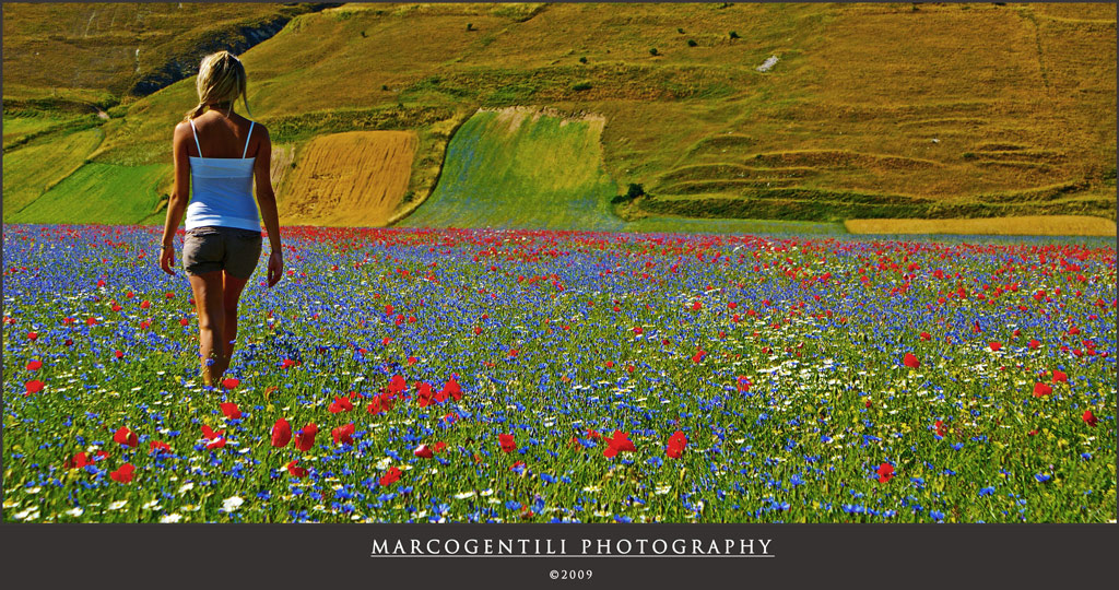 La bellezza in un'immagine 02