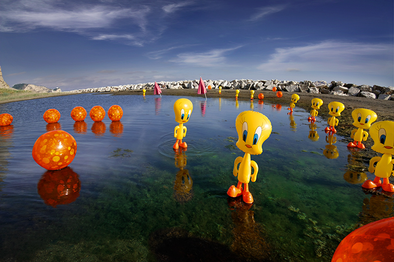 Tweety and the photographer