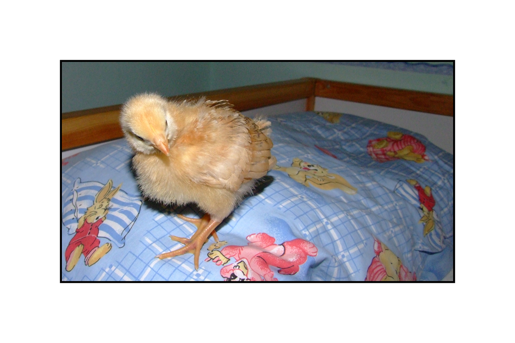 Prima di andare a letto!