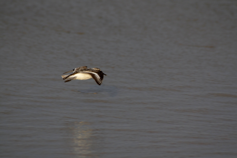 Passaggio a sud - est
