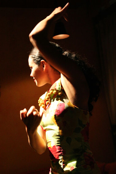 flamenco2