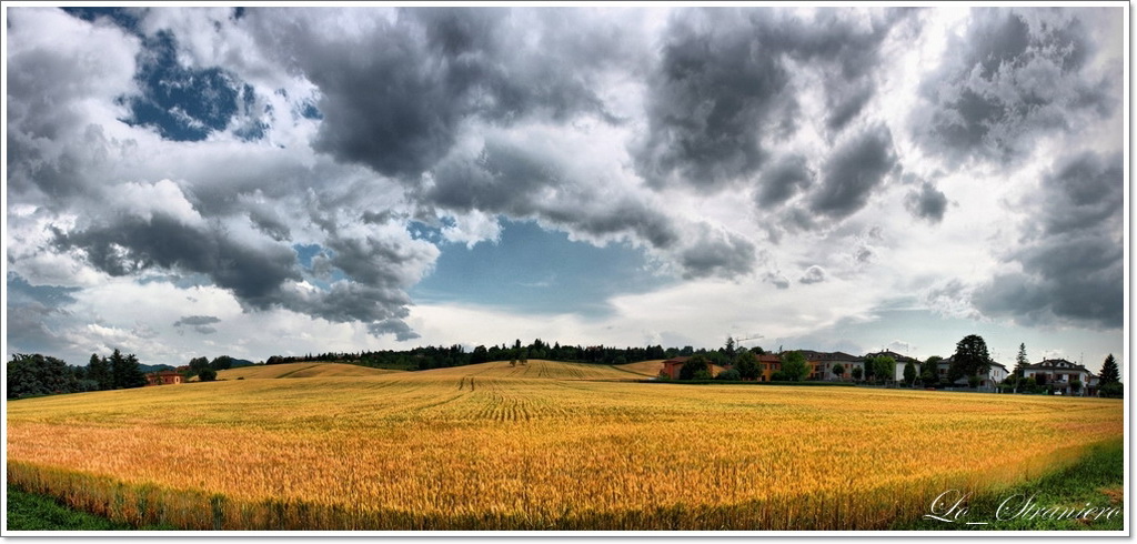 N E S S U N - C R O P _ C I R C L E S - Q U I