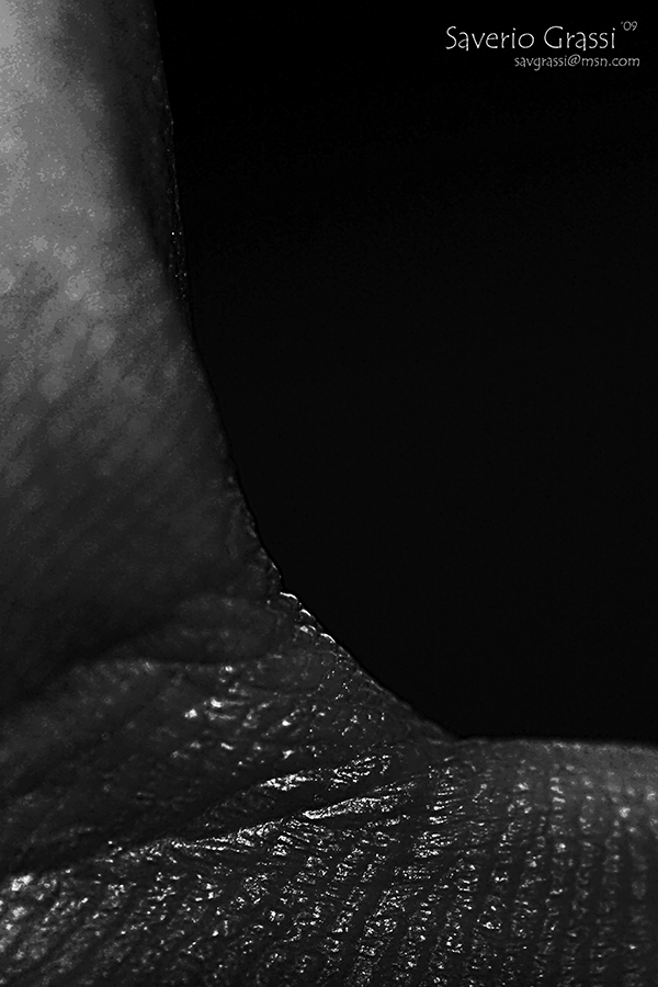 The lines of my life 2