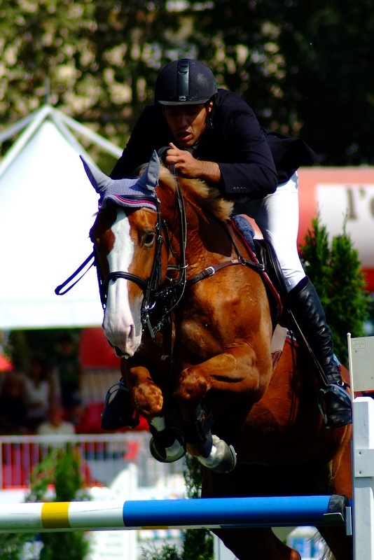 Cavaliere al Concorso Ippico Internazionale Citt� di Pinerolo