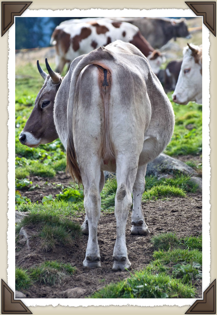 Un altro posto dove andare a fotografare......no eh?