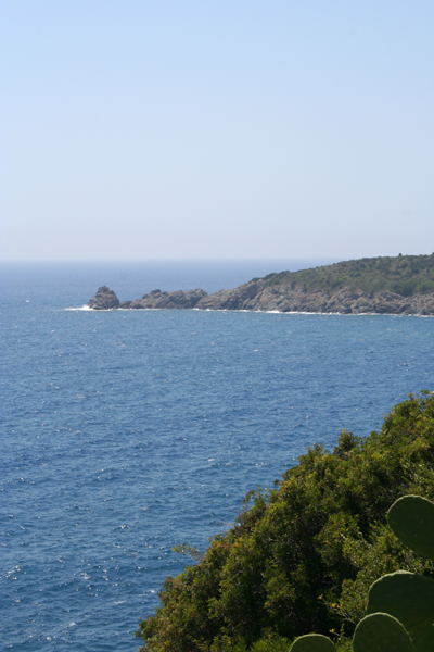 Elba - verso Fetovaia