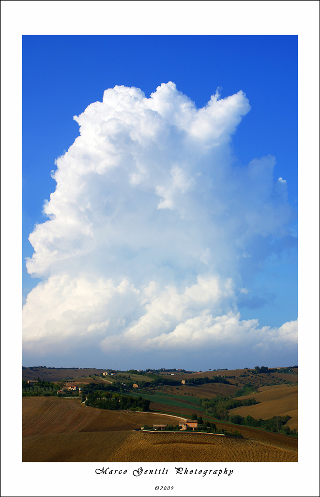 I colli marchigiani 02