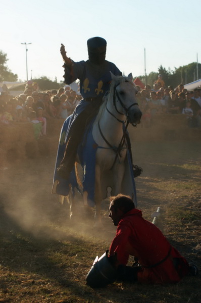 il Cavaliere battuto