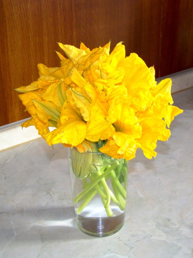 Fiori di zucchina