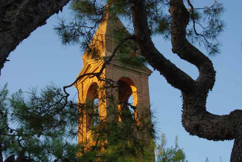 Al di l� del bosco
