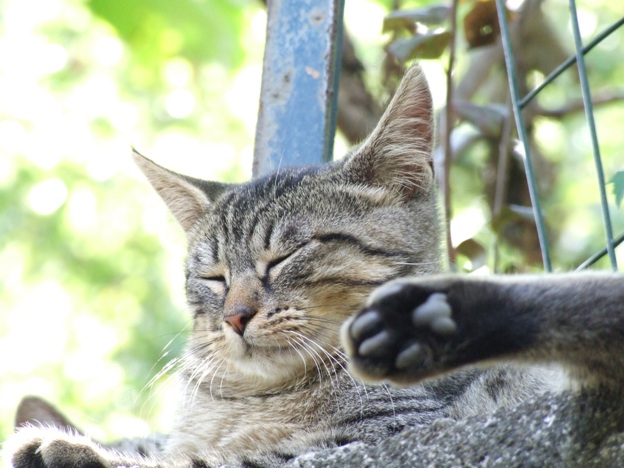 Relax...take it easy!