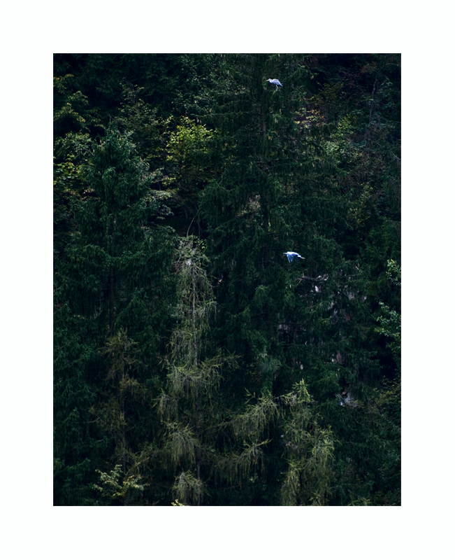 il silenzio del mattino