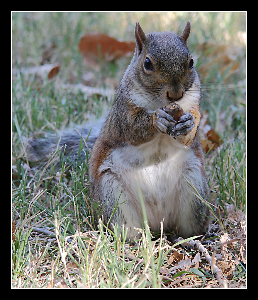 Un piacevole incontro