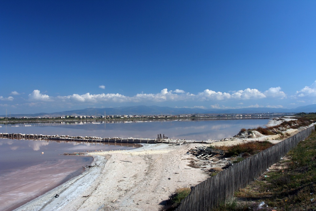 Saline Poetto Cagliari