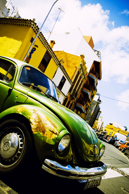 green beetle