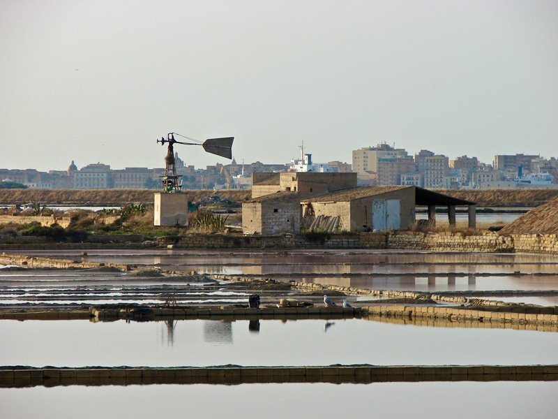 Saline
