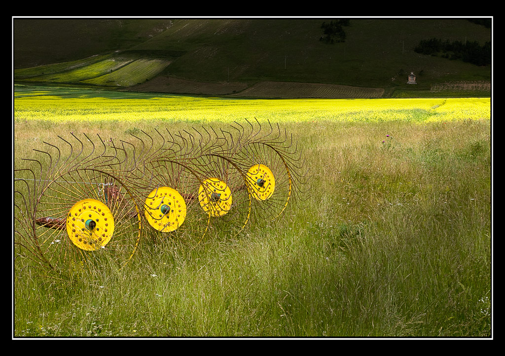 piano grande 2009  n. 1