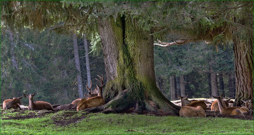 Pace e tranquillit� ..