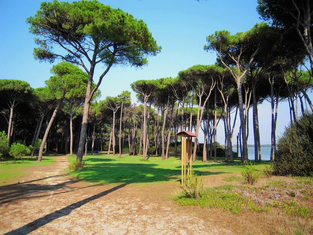 La pineta....total relax!