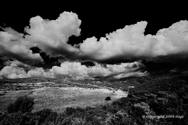 ...dall'auto in cora...