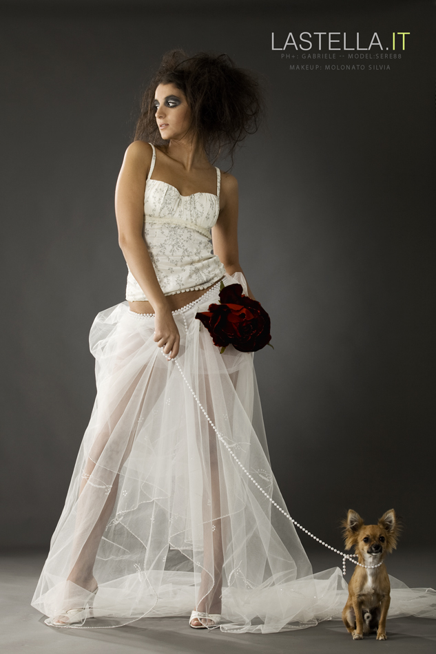 In mancanza di un dalmata mi sono arrangiato cos� (2)........