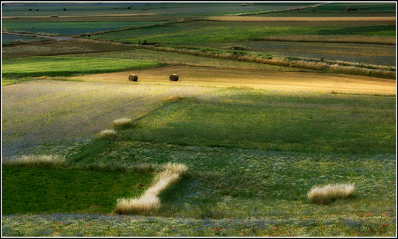 castelluccio n.2- 2009