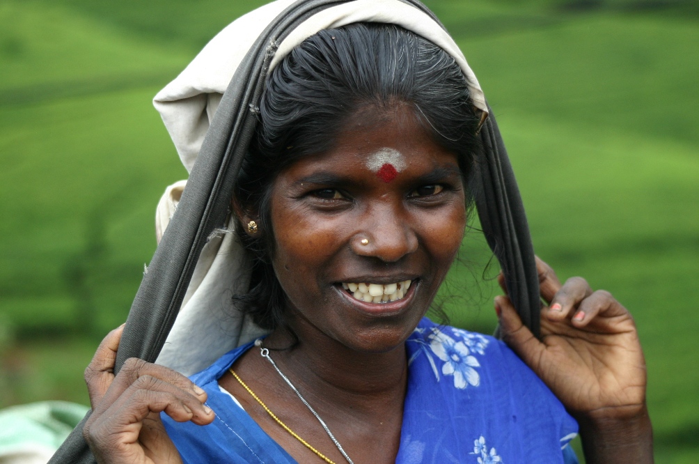 RACCOGLITRICE DI TE'