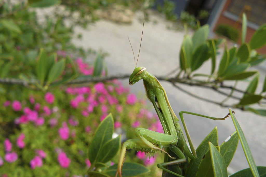Ti tengo d'occhio...!
