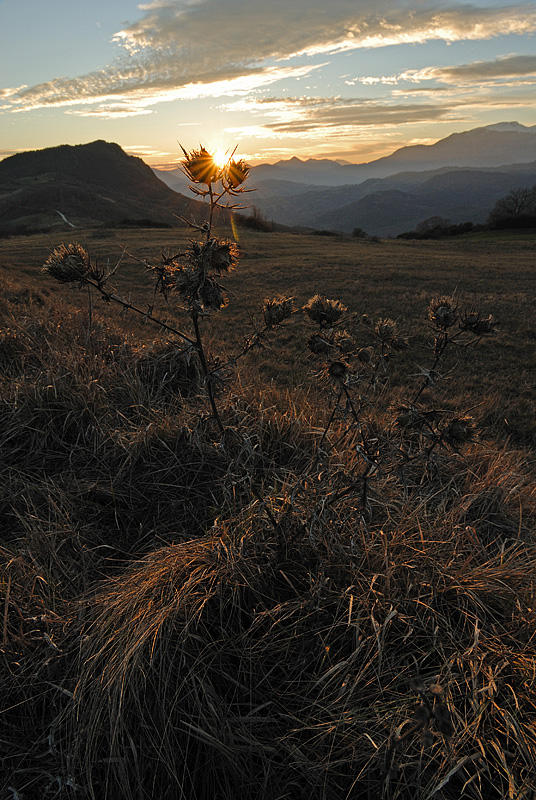 Tramonto vicino casa