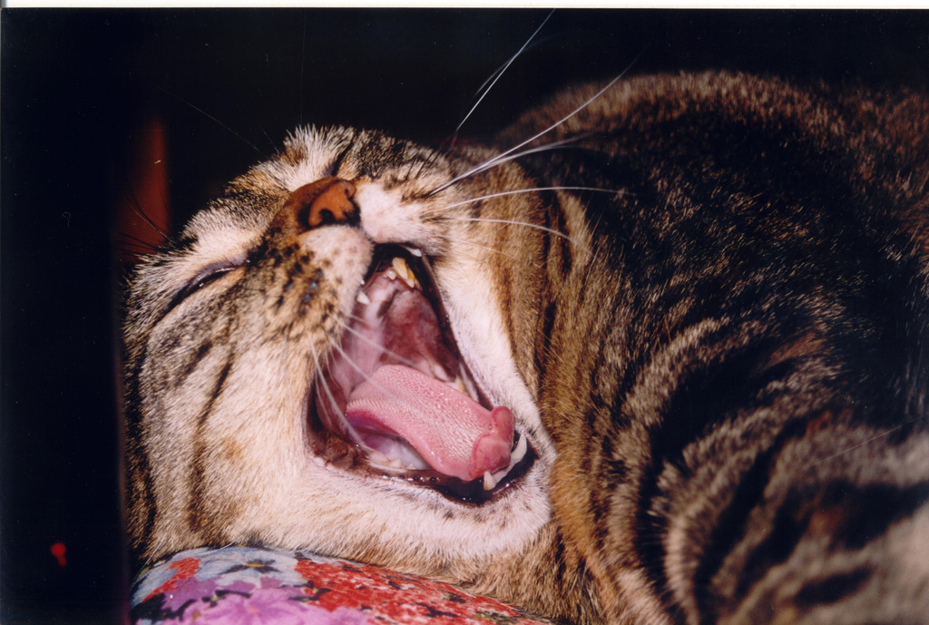 fffffffffffssssss....