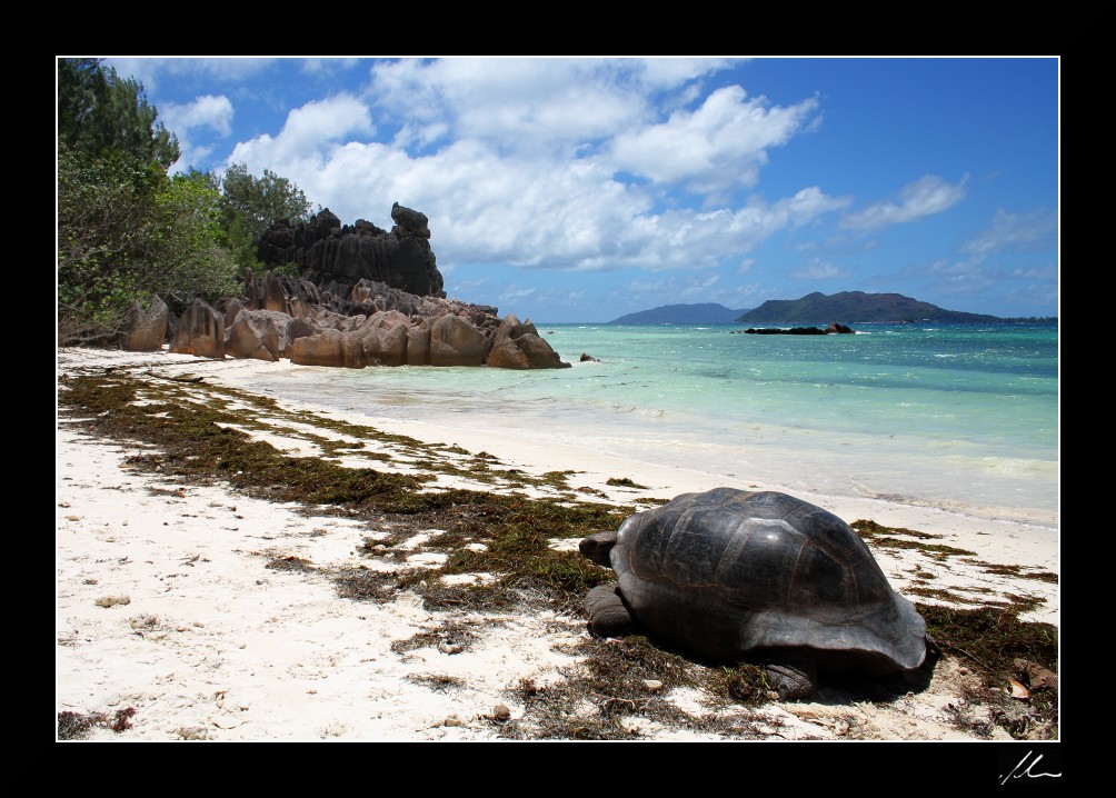 130 anni e non sentirli