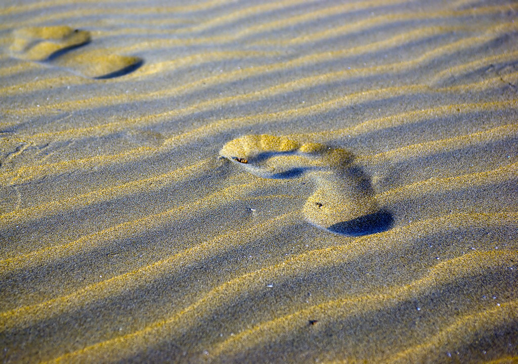 Passeggiata silenziosa