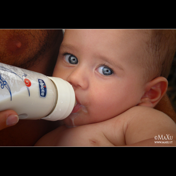 Chicco...dove c'� un bambino.