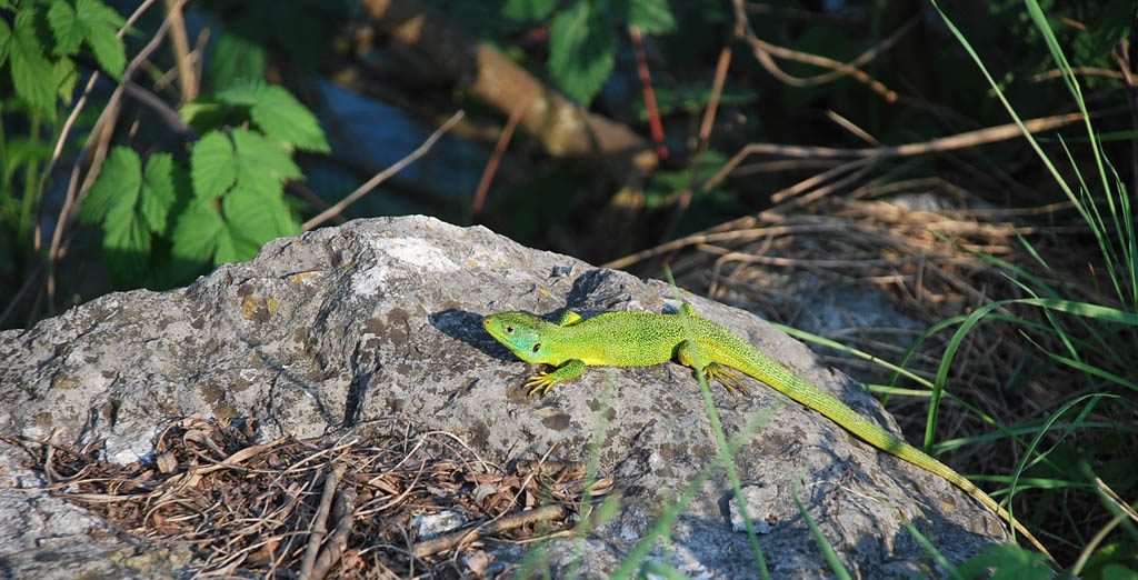 Come prendere il sole...senza scottarsi