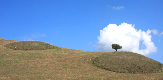 elementi nel paesaggio