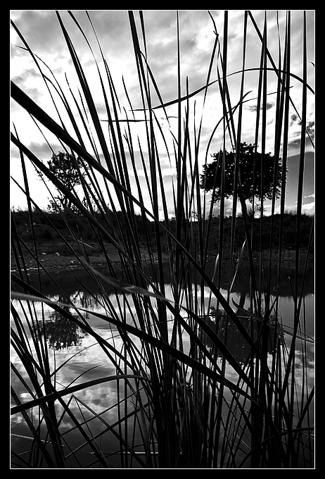 sbirciando il laghetto