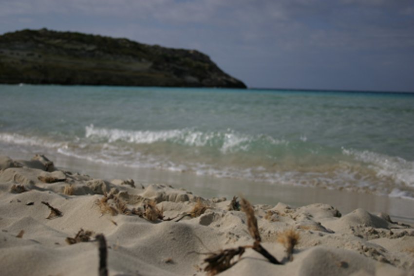 ...spiaggia dei conigli