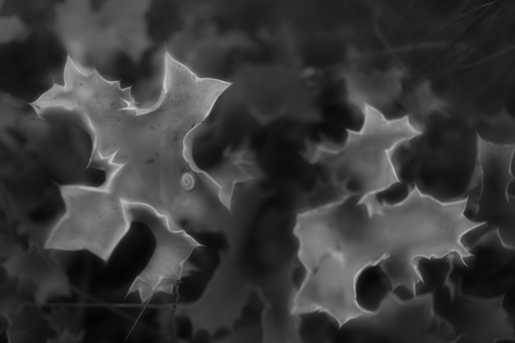 The other world_Light