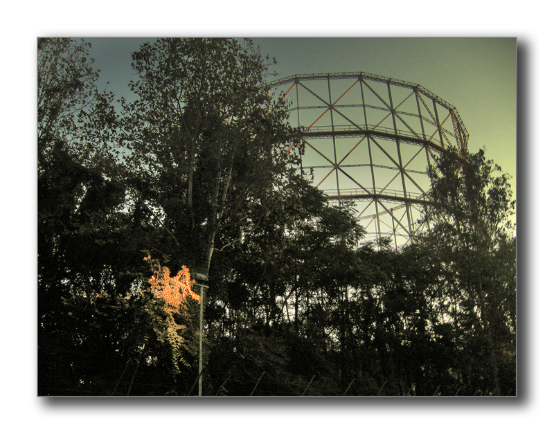 la rivincita della natura sull'uomo