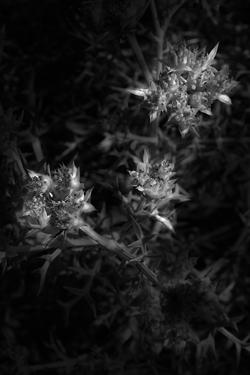 The other world_Three