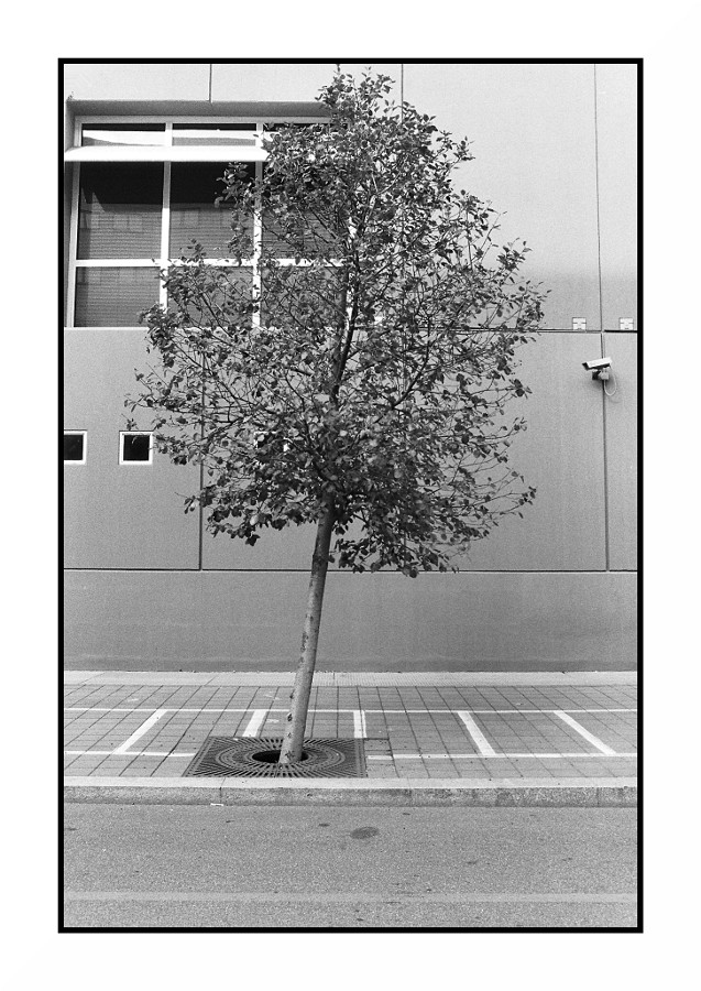 Milano - Bicocca 2009