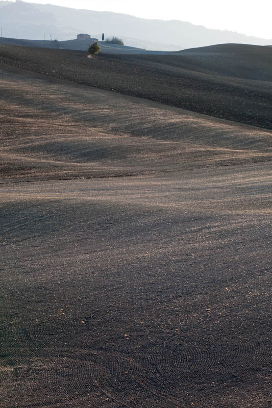 Aratura in Valdorcia #1