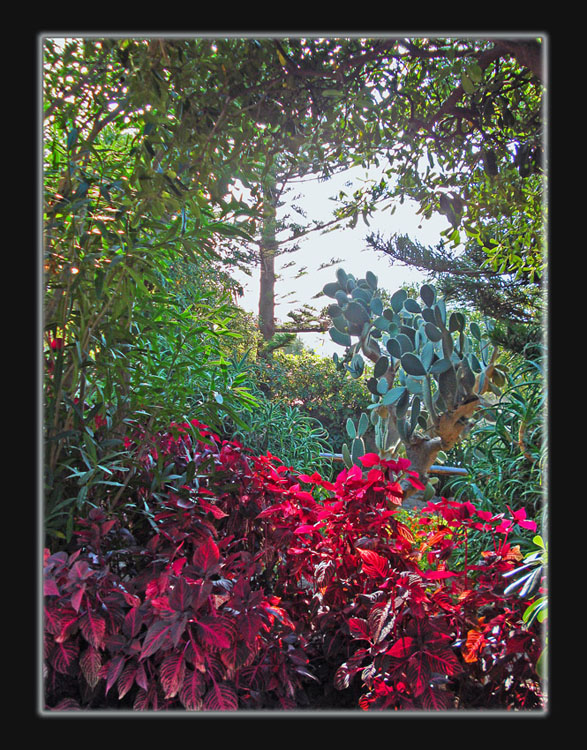 Ischia"giardini Poseidon"