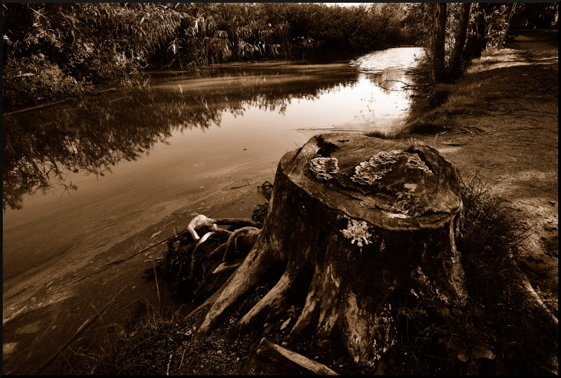 Il rifugio dell'hobbit